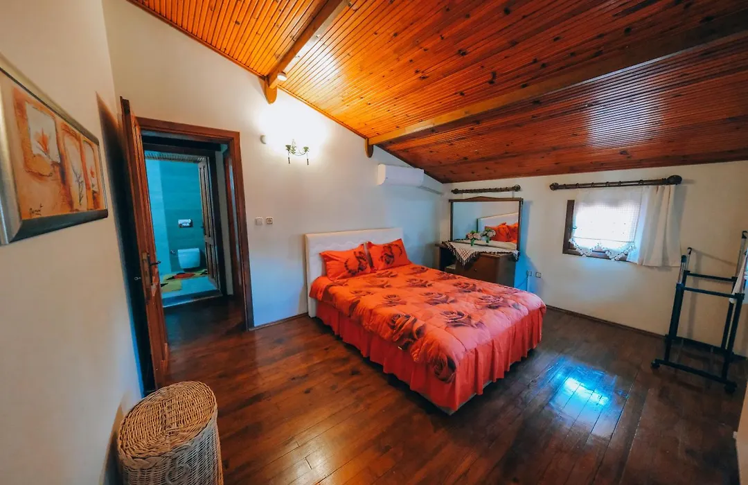 Sapanca Villa Şen-1